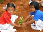 Plantation Activity 06-07-2019 39.jpg